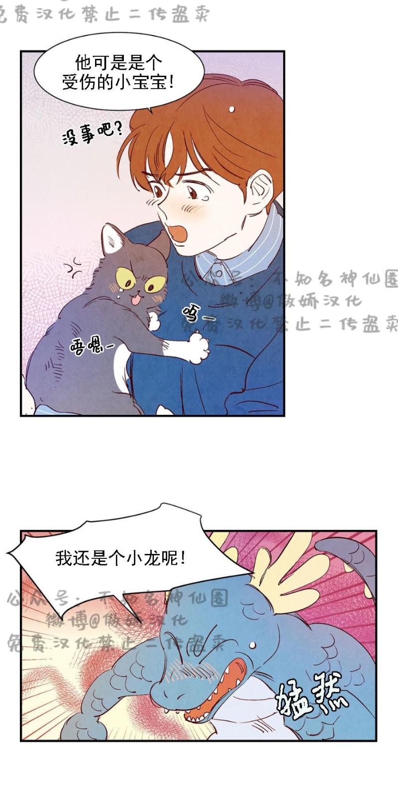 孕育之岛动漫在线观看漫画,第27话5图