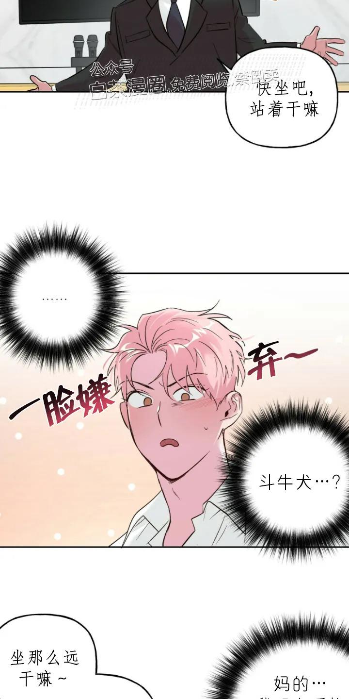 疯子套装组合免费观看漫画,第33话第一季完结2图