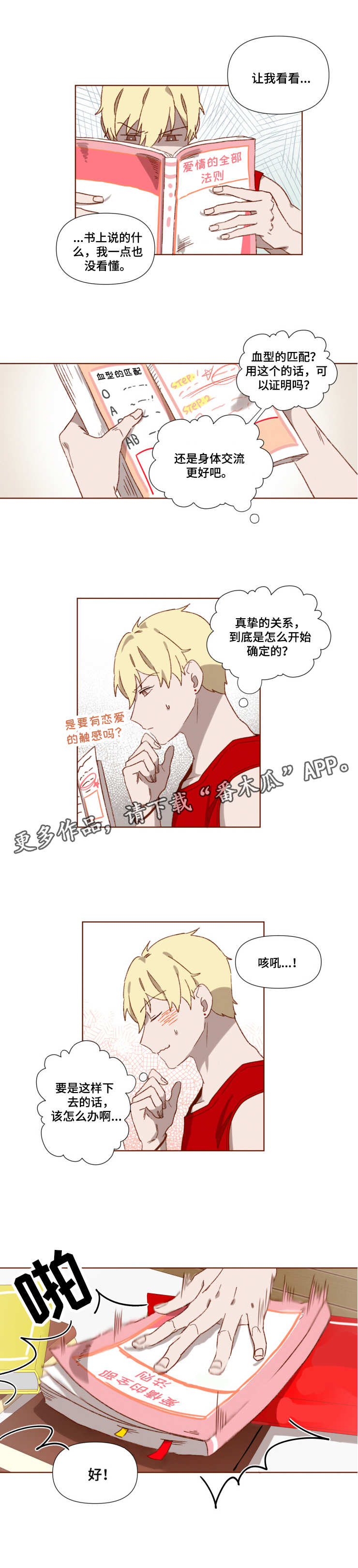 第6章：爱情法则0