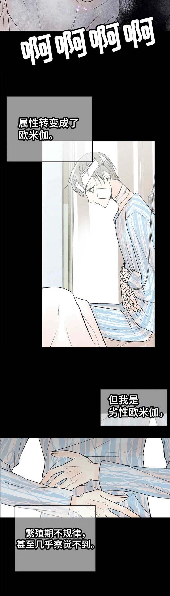 避风港有限公司漫画,第17话5图