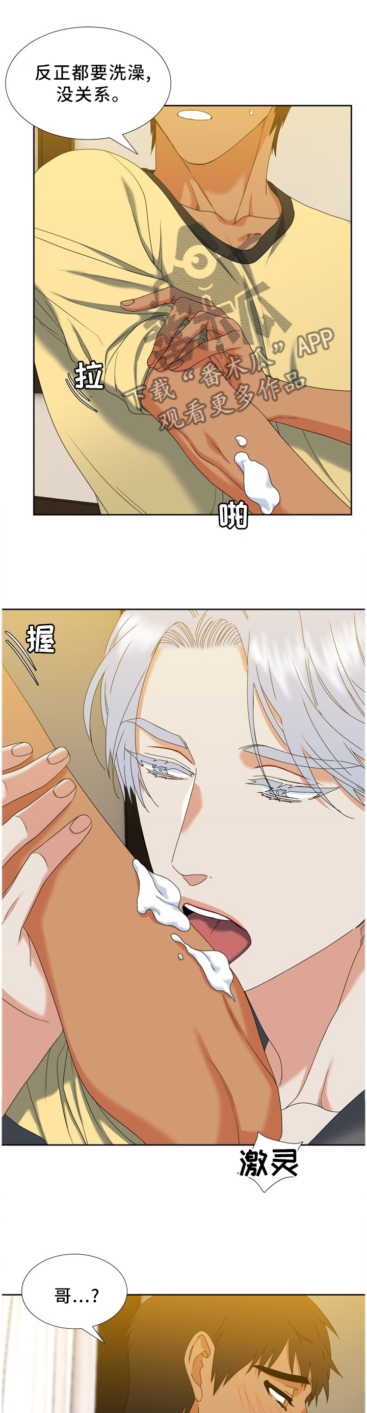候鸟迁徙分析漫画,第260章：【第二季】不爱吃甜食1图