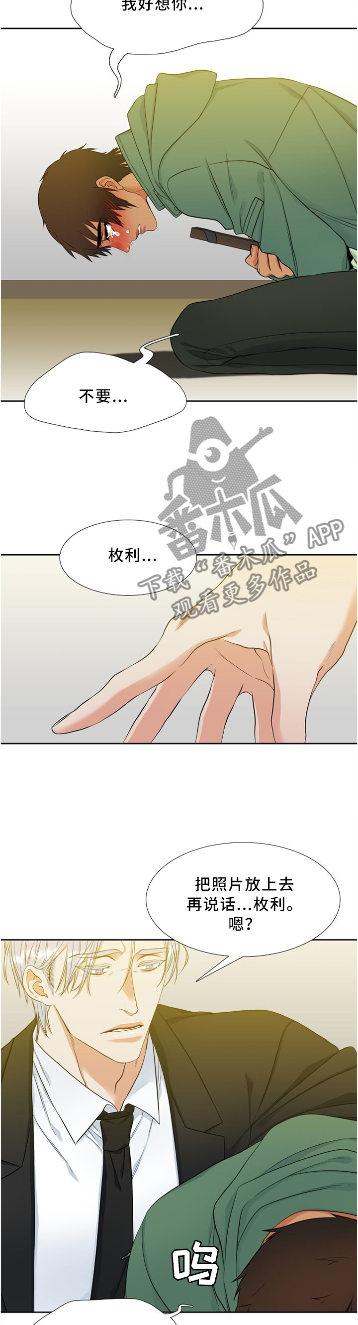 候鸟迁徙过程中漫画,第95章：责怪2图