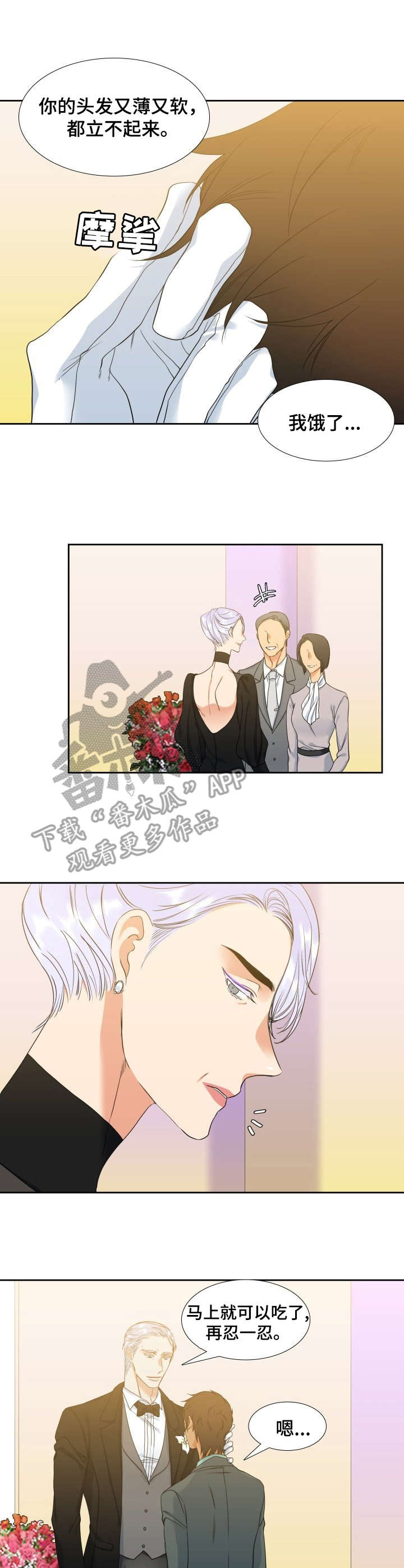 候鸟迁徙过程中漫画,第52章：婚礼3图