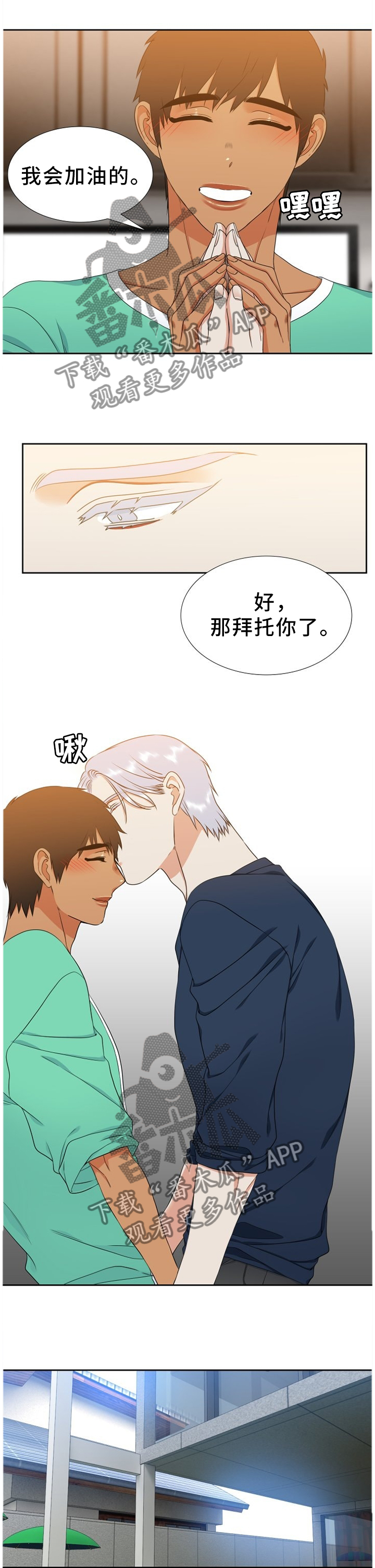 候鸟保护工作总结范文漫画,第241章：【第二季】祝爸爸妈妈幸福4图