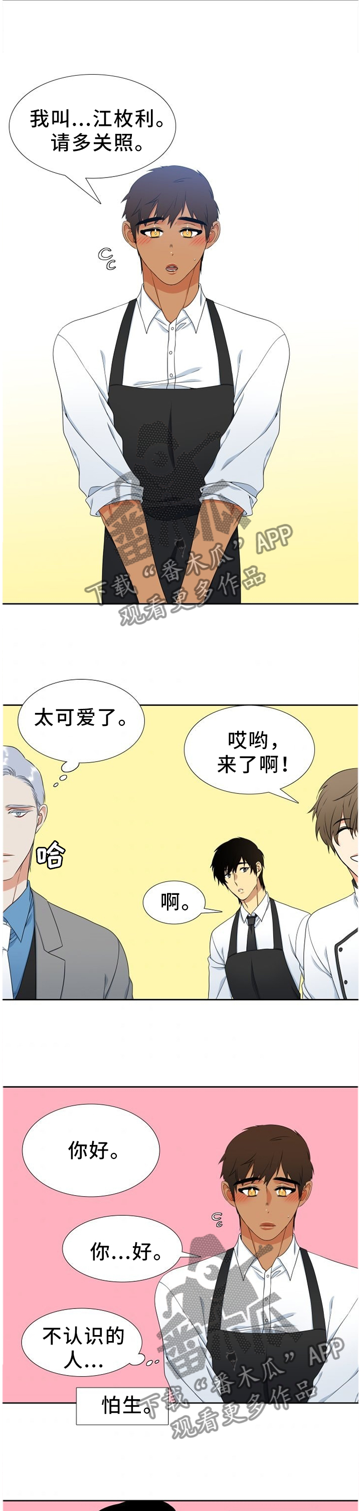 候鸟保护工作总结范文漫画,第241章：【第二季】祝爸爸妈妈幸福5图