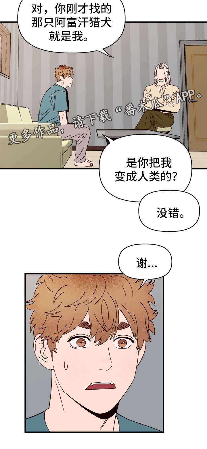 第30章：隐晦1