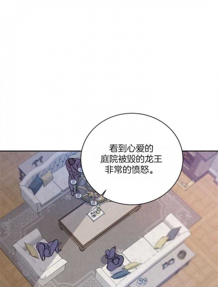 珊瑚食之有魅商贸漫画,第56话1图