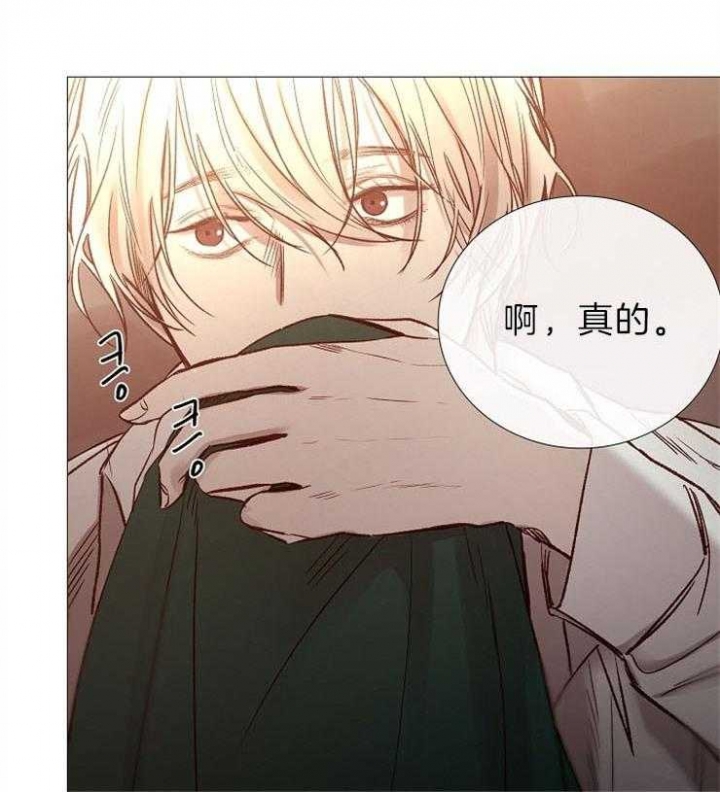 冷温带季风气候用英语怎么说漫画,第88话5图