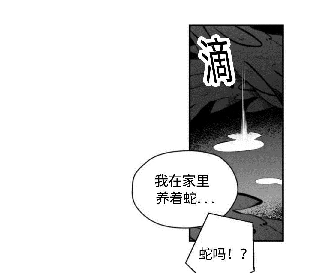 爱书猫官网漫画,第10话4图