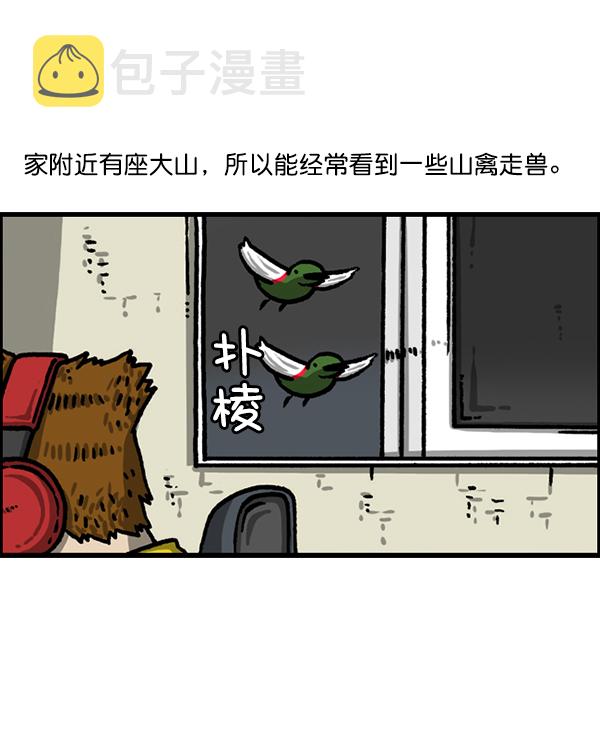 心灵的声音在线观看漫画,[第1224话] 不认识的鸟3图
