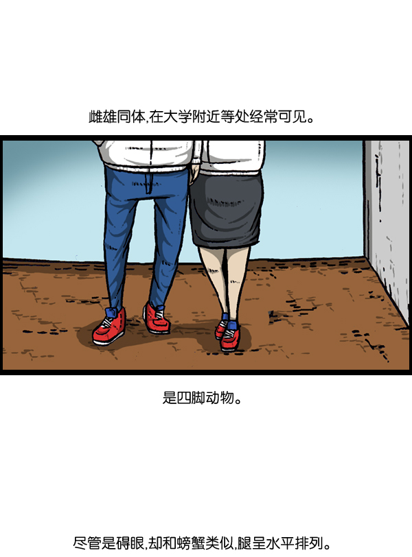 心灵的声音在线观看漫画,[第889话] 神秘动物综述2图