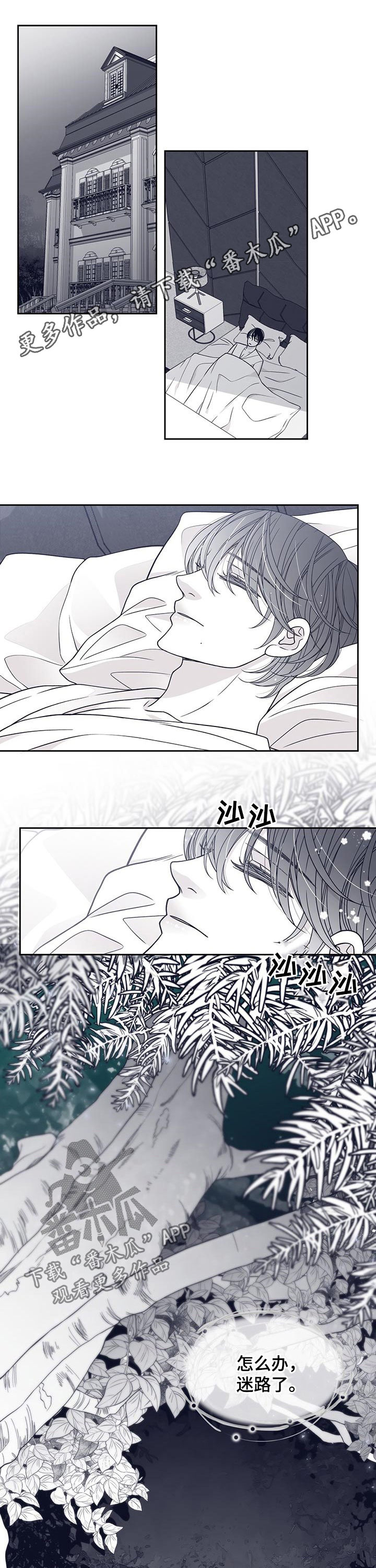 第80章：怀孕？0