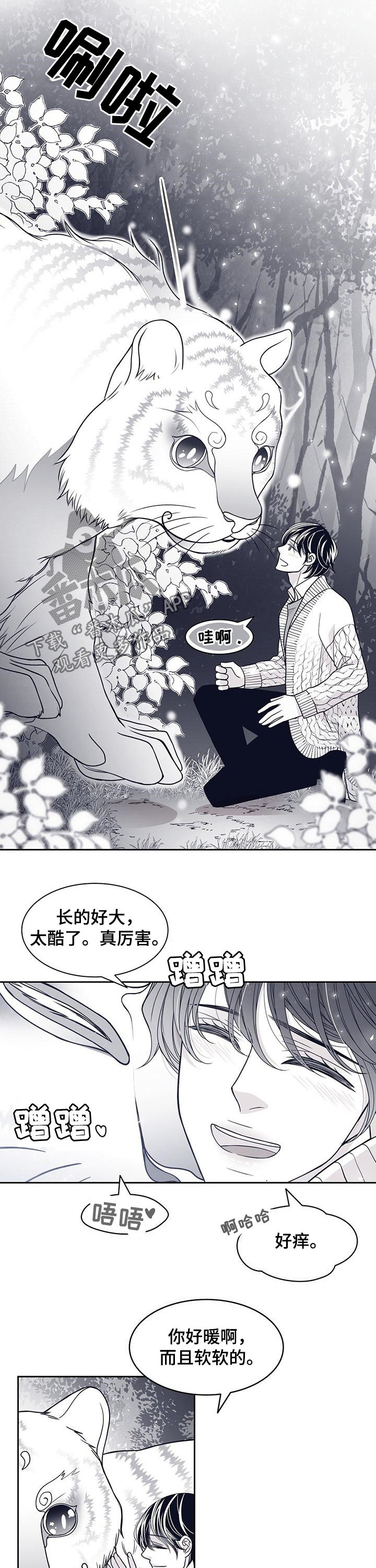 第80章：怀孕？4