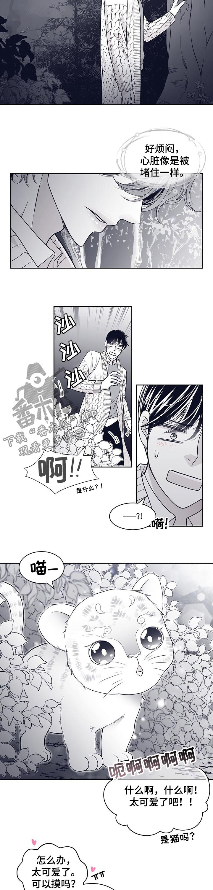 第80章：怀孕？2