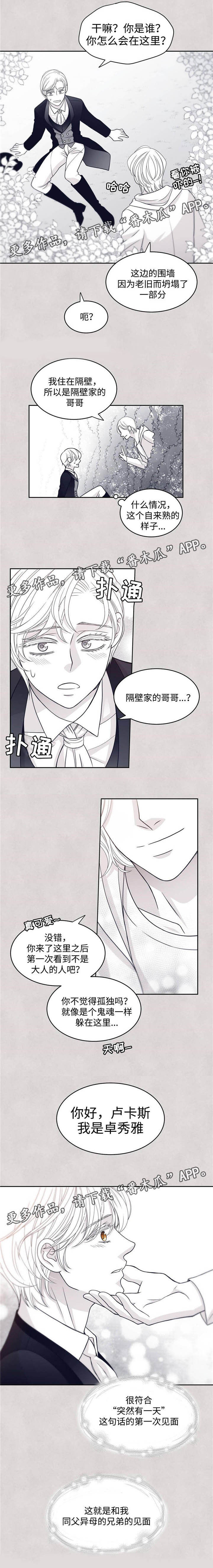 第45章：卓秀雅3
