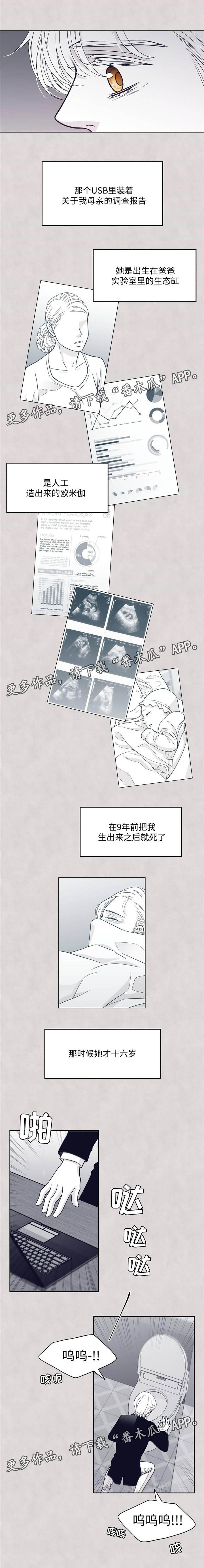 第48章：愤怒3
