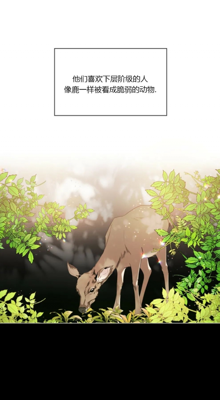 犯规了短剧免费全集漫画,第38话5图
