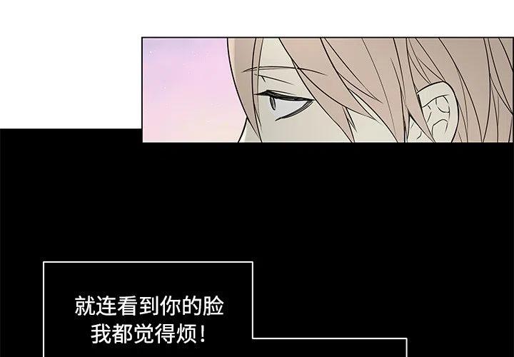 set添加元素java漫画,202图