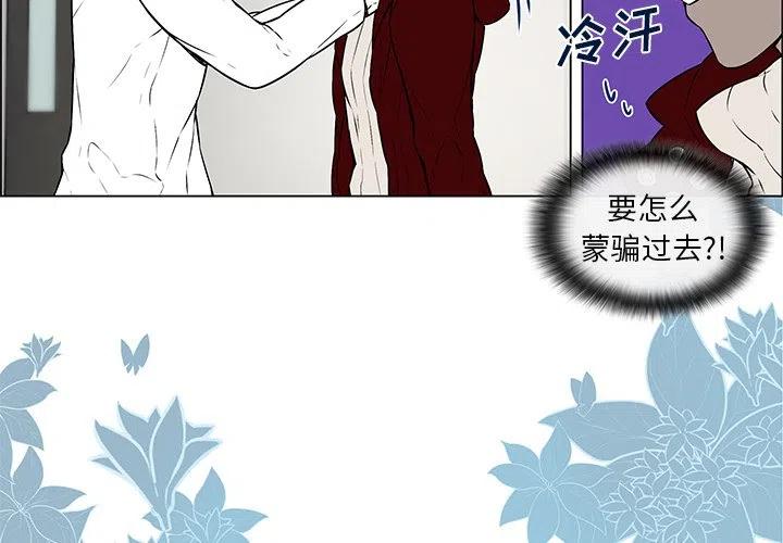 Settia免费阅读漫画,92图