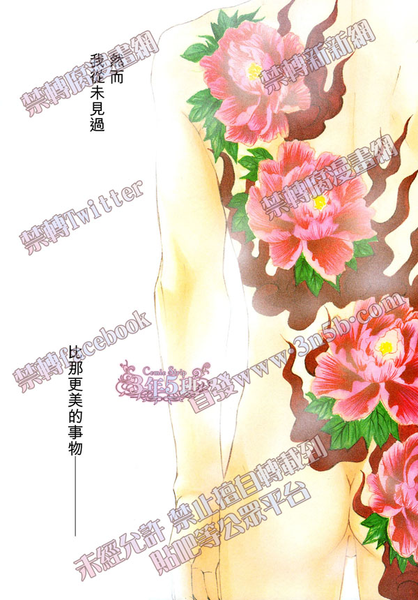 花鸟风月虞美人漫画,第47话3图