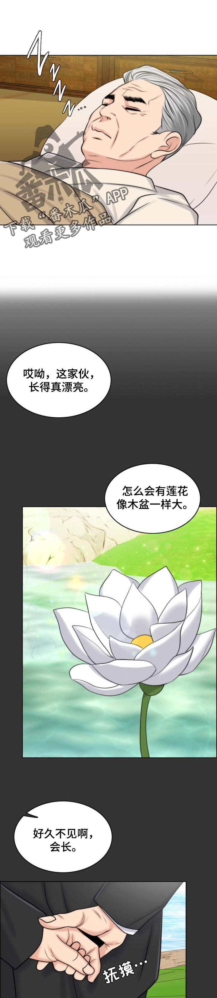 限时婚约黎少花式宠妻小说漫画,第64章：出淤泥而不染1图