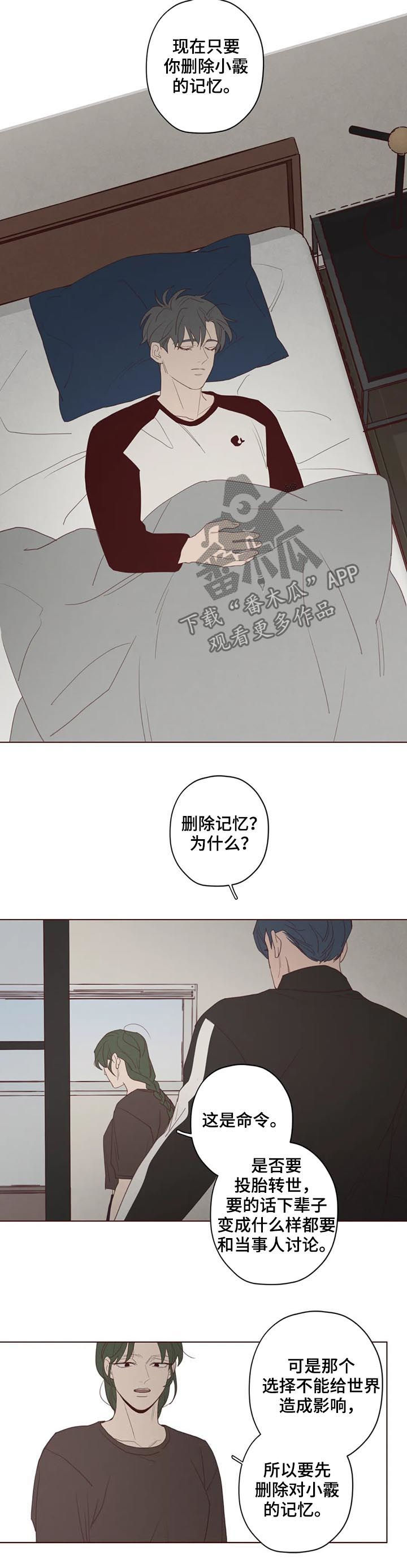 第113章：计划2
