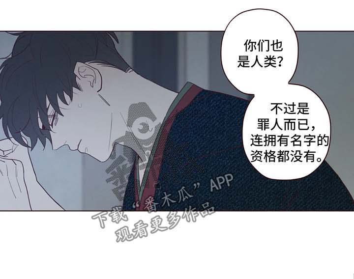山鬼效灵漫画,第65章：危险与安全2图