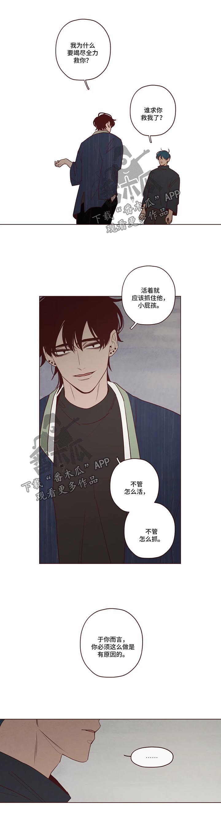 山鬼玉石效果漫画,第78章：新的使者5图