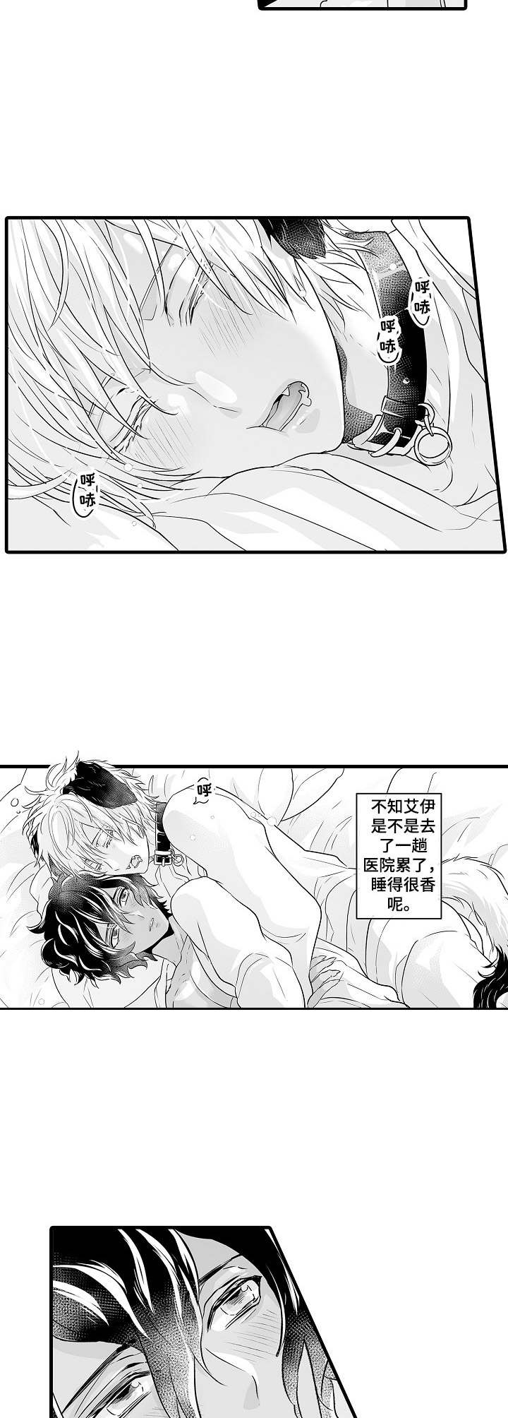 森林中的熊先生冬眠中漫画免费漫画,第5章：依靠4图