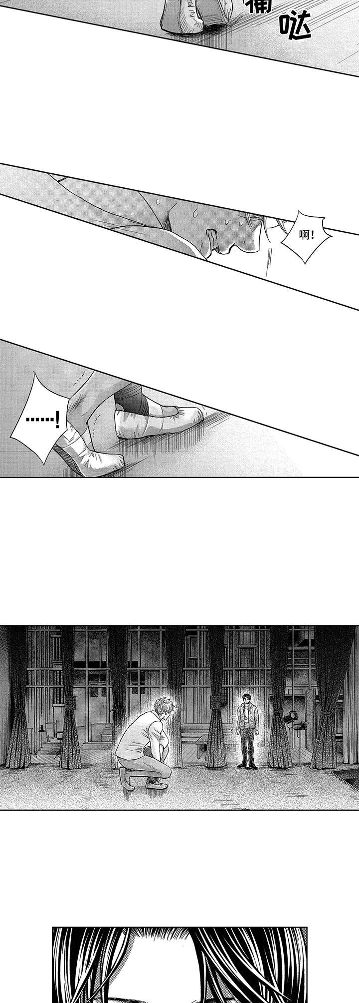 芭蕾王子视频漫画,第14章：执念4图