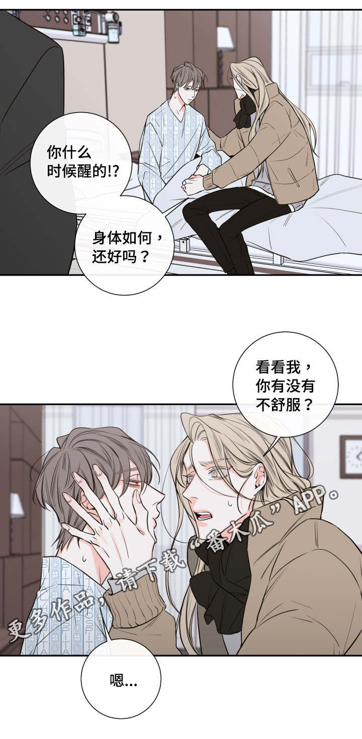 半血族漫画朱英图片高清漫画,第38章：离开3图