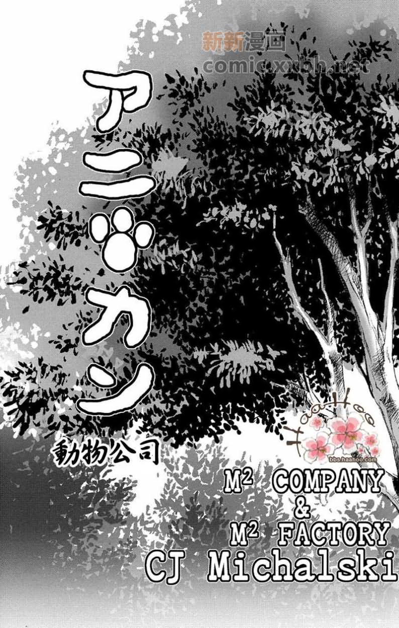 森林里的动物的故事漫画,番外3图