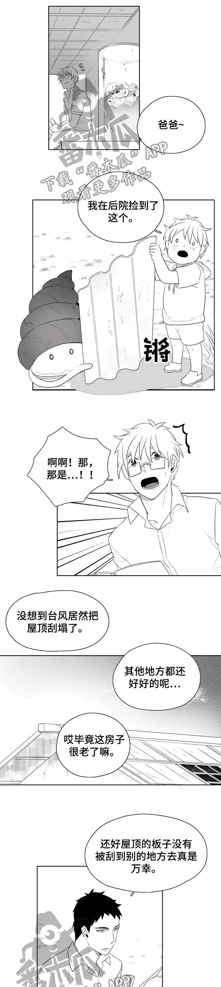 第11章：屋顶0