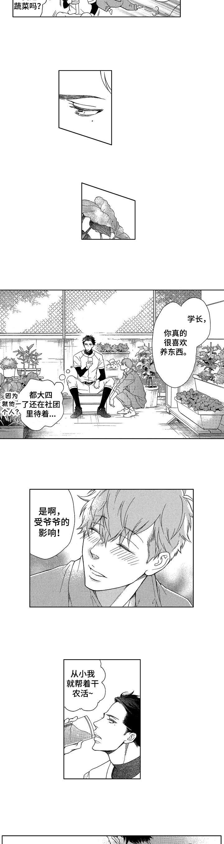 甜蜜的毒药糖果漫画漫画,第2章：收获4图