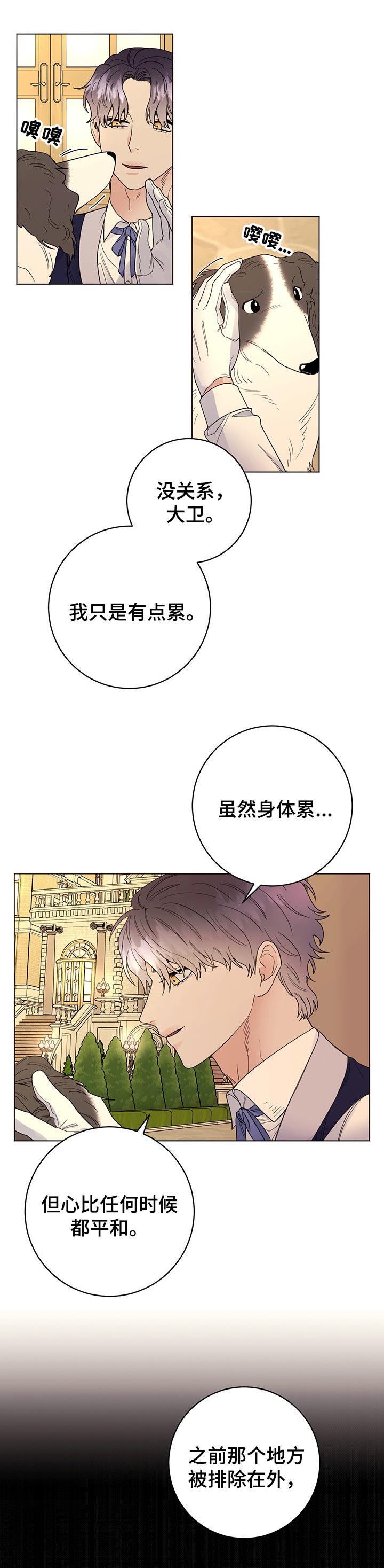 宠物漫画免费观看漫画,第61章：我的决定（第一季完结）2图
