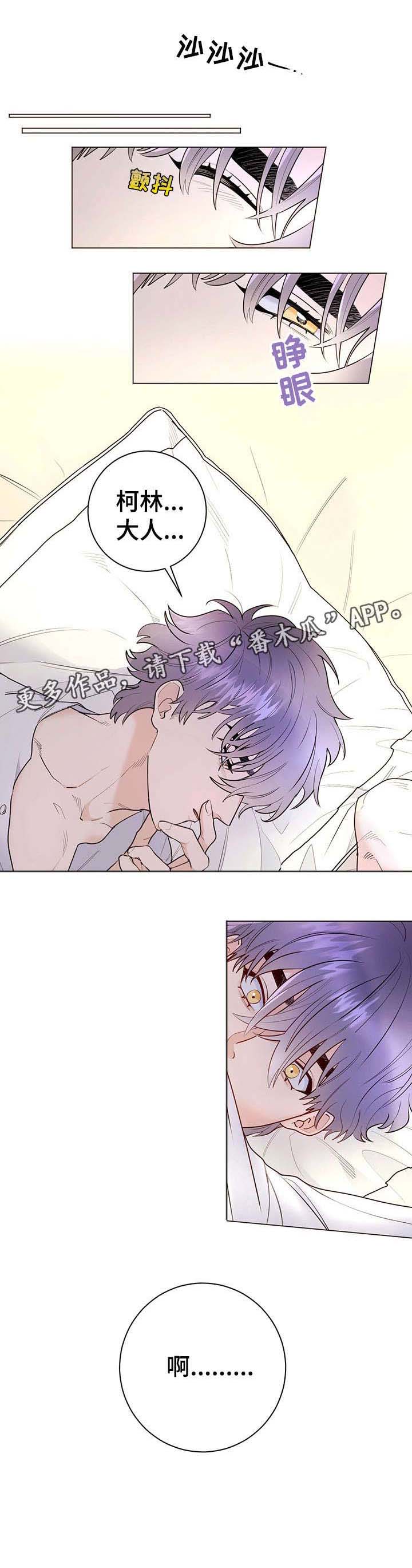 买只宠物漫画,第15章：进来1图