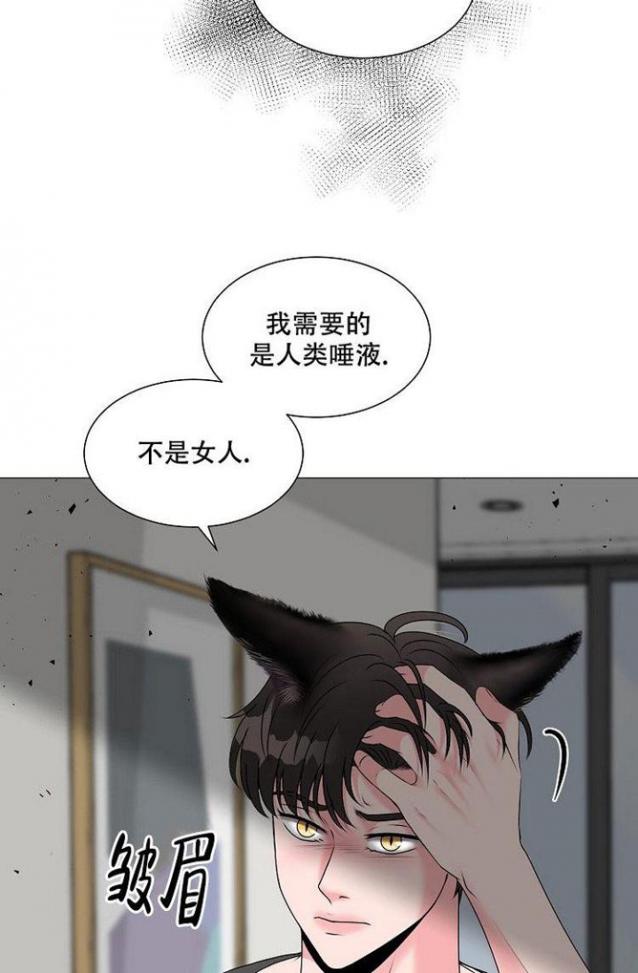 非凡的公主希瑞动画片国语全集免费下载漫画,第4话2图