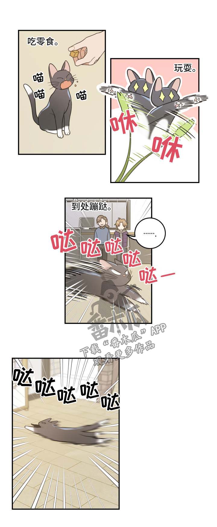 第44章：快乐生活0