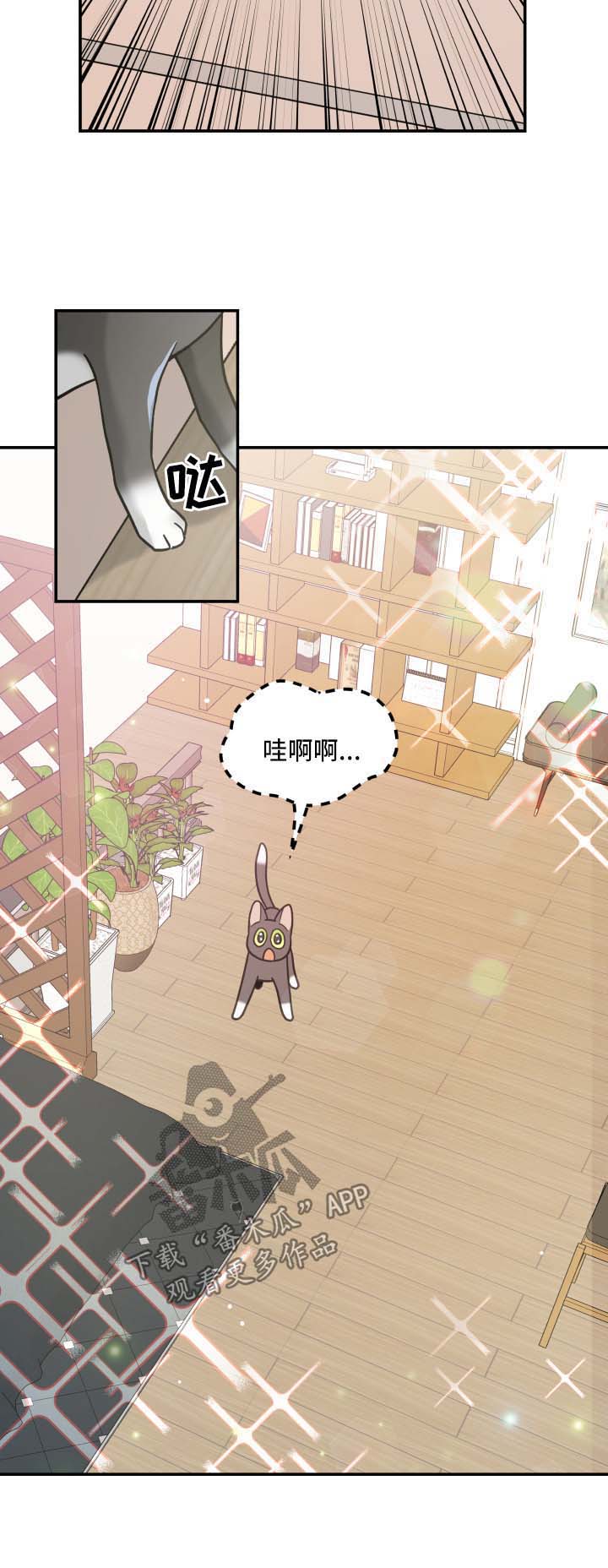 第44章：快乐生活3
