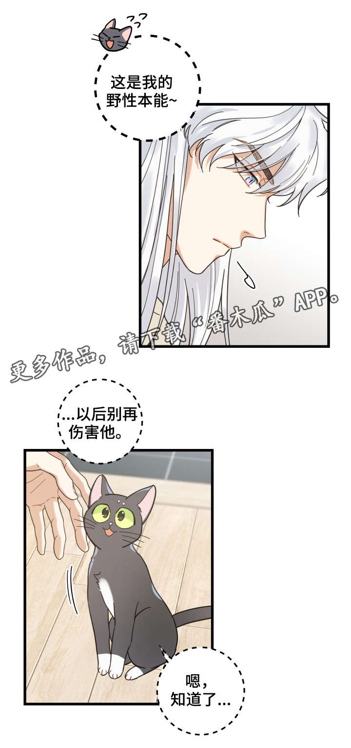 亲爱的养母电视剧免费观看漫画,第41章：本能1图