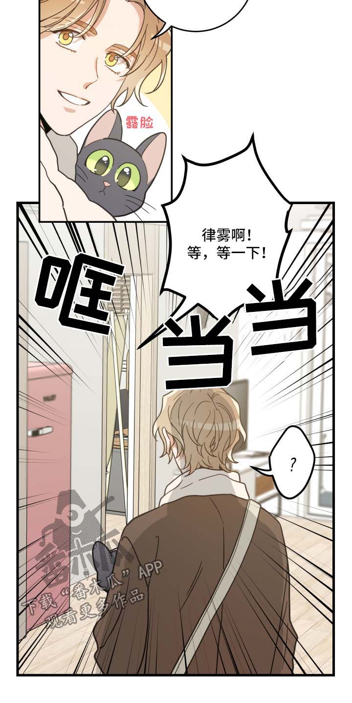 亲爱的喵君漫画资源漫画,第46章：不能一起3图