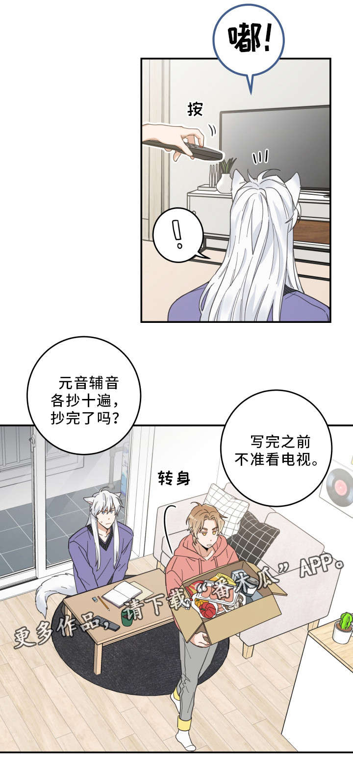 亲爱的喵君哪里可以看漫画,第11章：钻箱子4图
