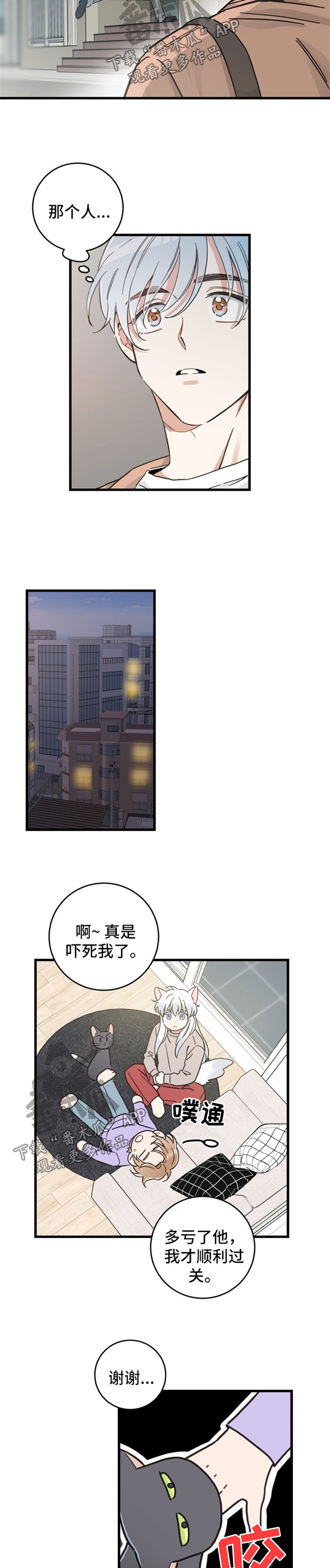亲爱的喵君漫画免费全集漫画,第80章：想要回家3图