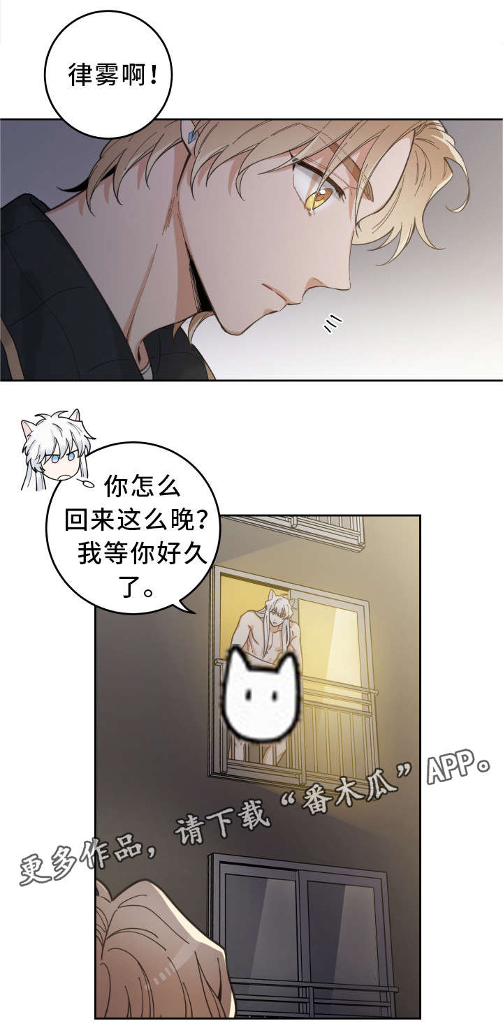 亲爱的喵君深夜漫画漫画,第7章：衣服3图