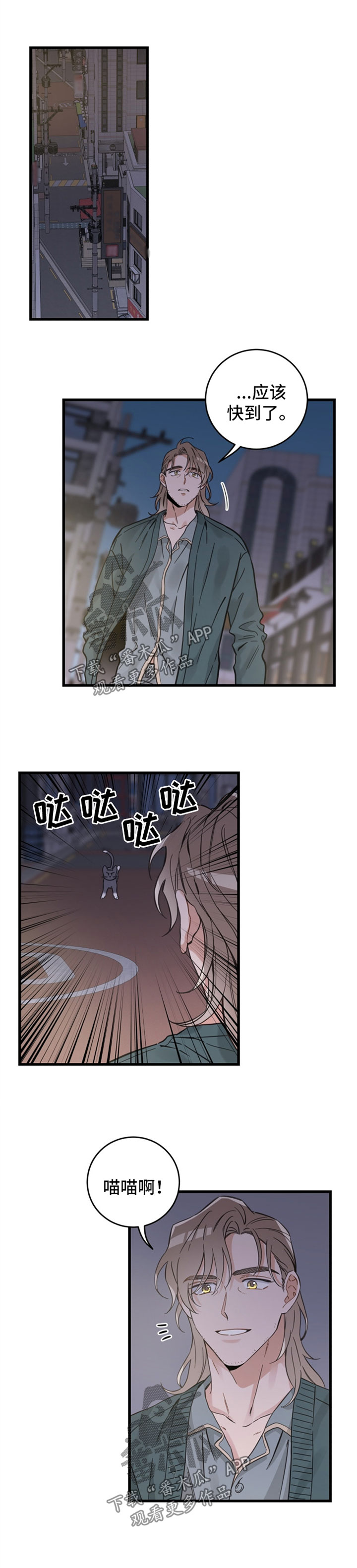 第81章：星星3