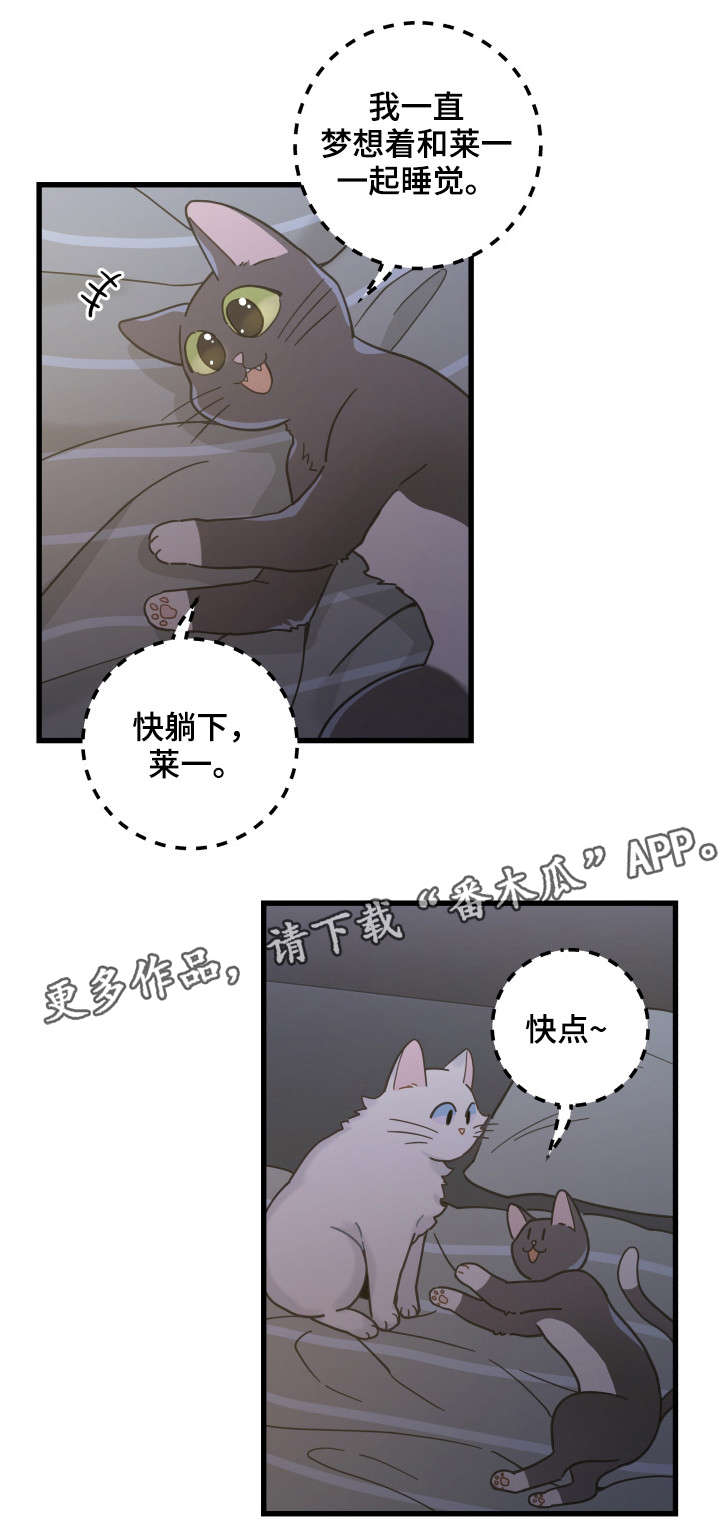 亲爱的喵君漫画资源漫画,第39章：你别走5图
