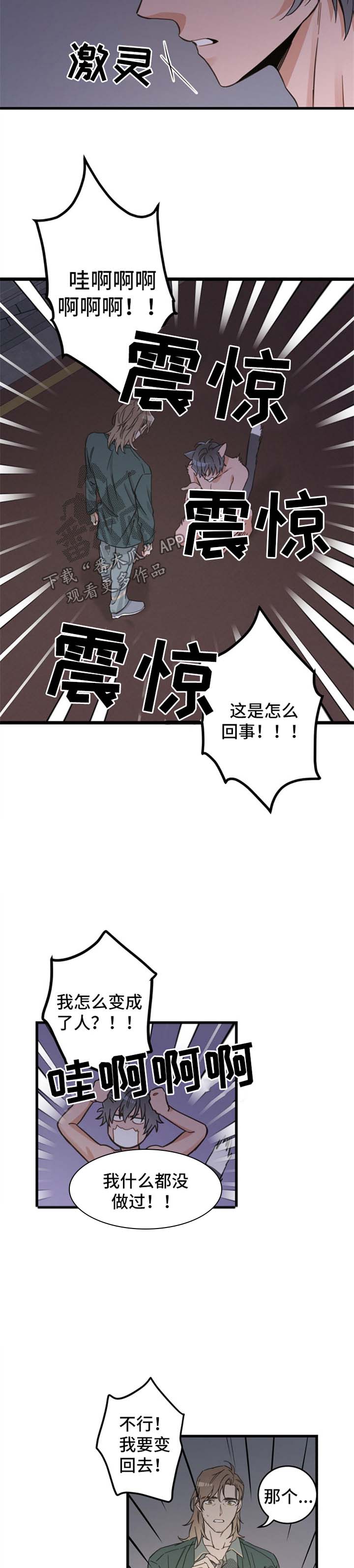 电视剧亲爱的喵先生剧情介绍漫画,第82章：变人4图
