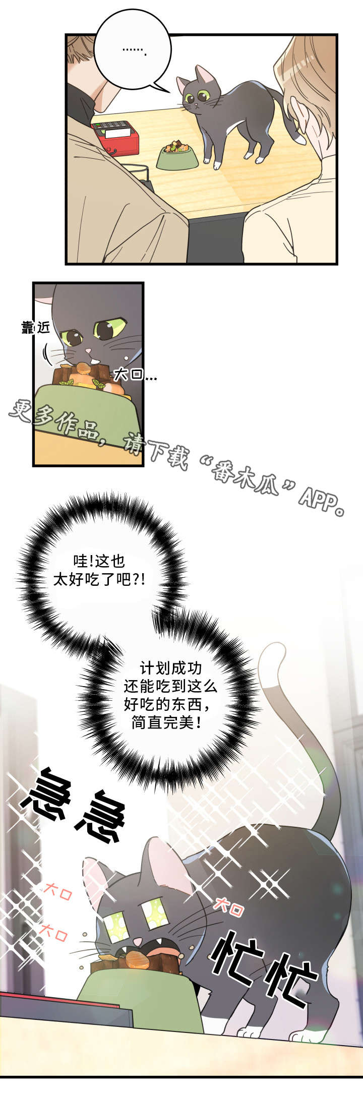 电视剧亲爱的喵先生剧情介绍漫画,第33章：好想你4图