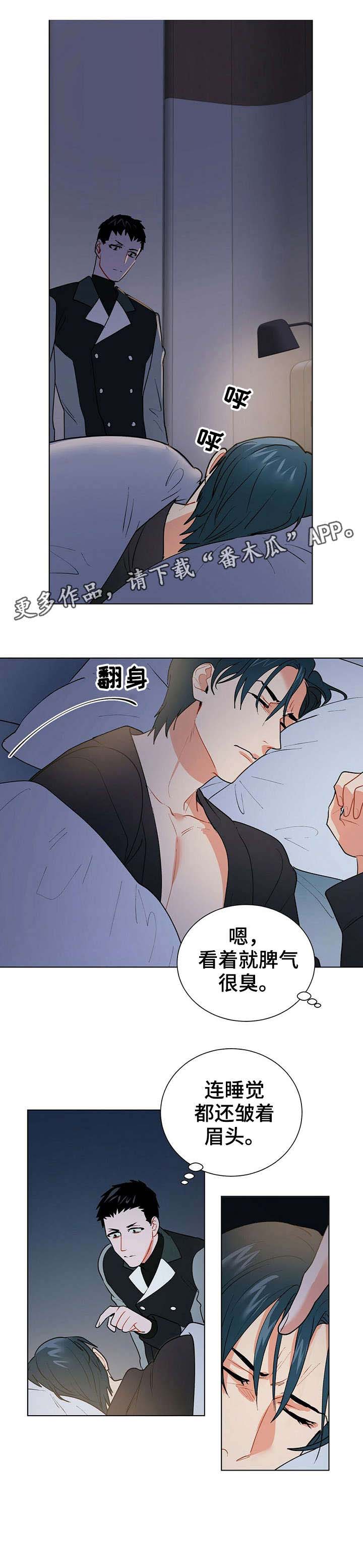 黑渡鸦图片动漫漫画,第15章：计划5图