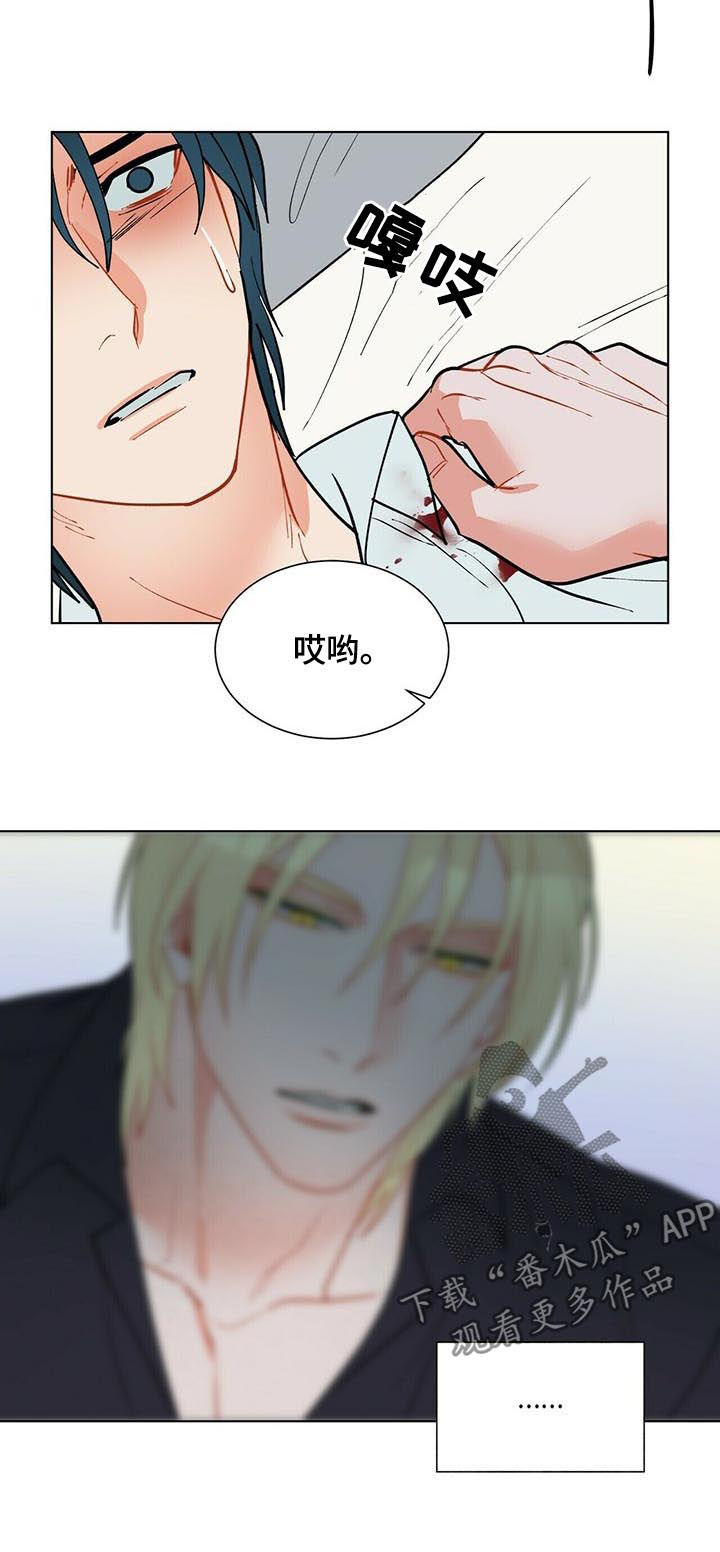 黑渡鸦形象特点漫画,第53章：永远都不会有5图